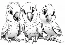 printable family parrot coloring pages